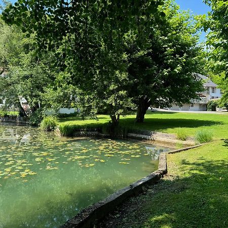 Les Lodges Du Lac Saint-Alban-de-Montbel ภายนอก รูปภาพ